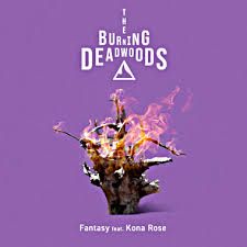 Fantasy feat. Kona Rose-cover