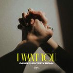 I Want You-cover