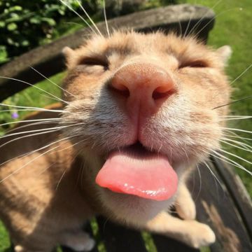 pastel skies and paper planes