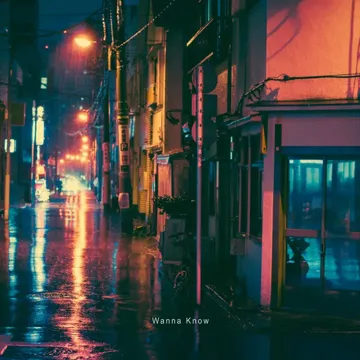 Wanna Know-cover
