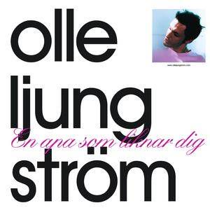 En apa som liknar dig-cover