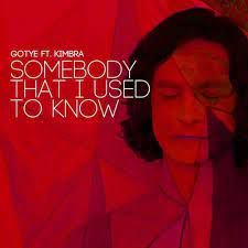 Somebody That I Used To Know (Acoustic Version)-cover