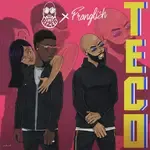 TECO-cover