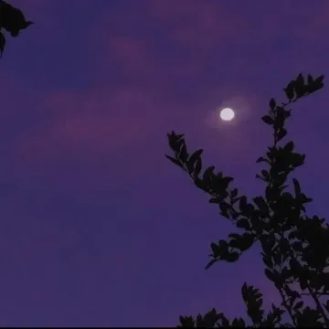 Zaczynam się cieszyć-cover