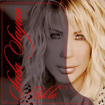 Anlamazdın-cover