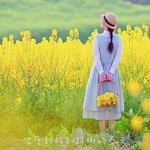 热爱105度的你-cover
