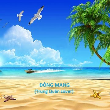 Đông mang-cover