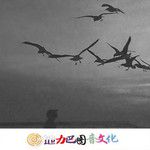 dilxot-corbonbater-official-despair风靡全网的背景-cover-image