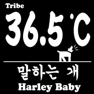 Harley Baby-cover