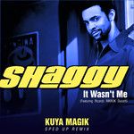 It Wasn't Me(Sped Up)-cover