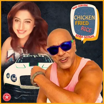Chicken Fried Rice-cover