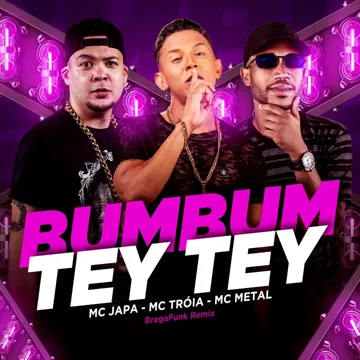 Bumbum Tey Tey (Brega Funk Remix)-cover