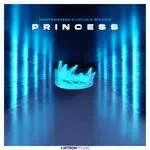 Princess-cover