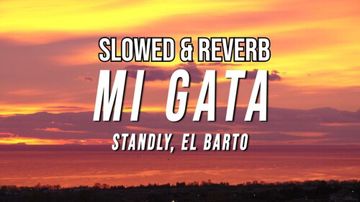 Mi Gata-cover