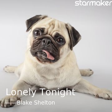 Lonely Tonight-cover