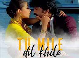 Tum Mile Dil Khile-cover