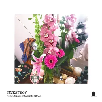 Secret Boy-cover