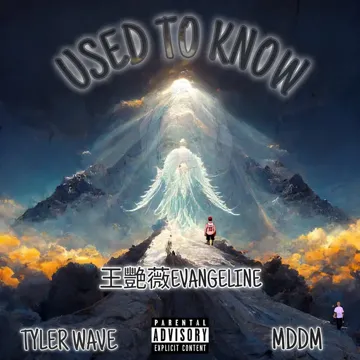 Used to know-cover