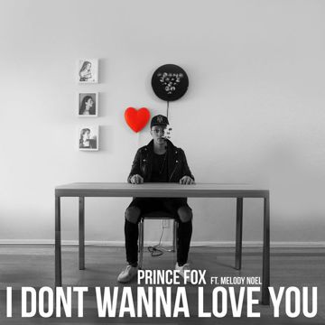 I Don't Love You-cover