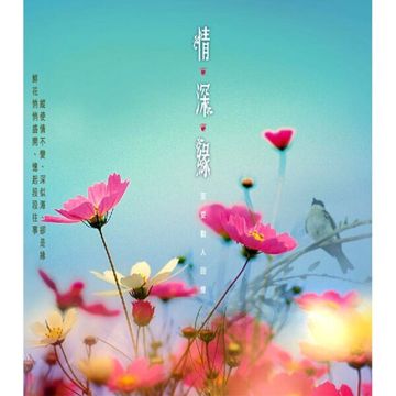 涛声依旧