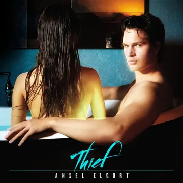 Thief-cover