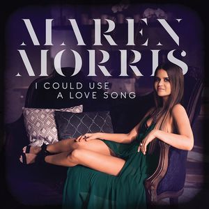 I Could Use A Love Song-cover