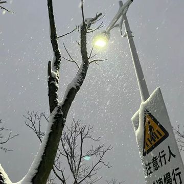 冬天和雪-cover