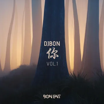 我曾遇到一束光 (DJBon)