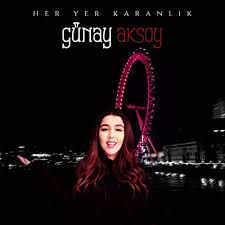 Her yer karanlık