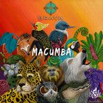 Macumba de un Sol(Rodrigo Gallardo Remix)(Remix)-cover
