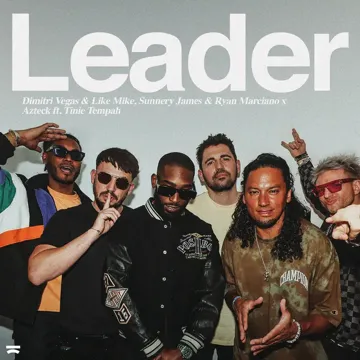 Leader-cover