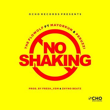 No Shaking-cover
