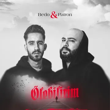 Ölebilirim-cover