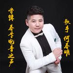 許多年以後-cover