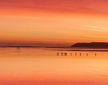 MAয়াR সংSAরে