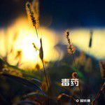 毒药-cover
