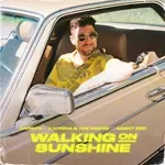 Walking on Sunshine (Extended Mix) (Extended Mix)-cover