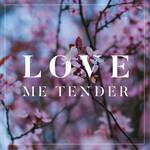 Love Me Tender(Acoustic)-cover