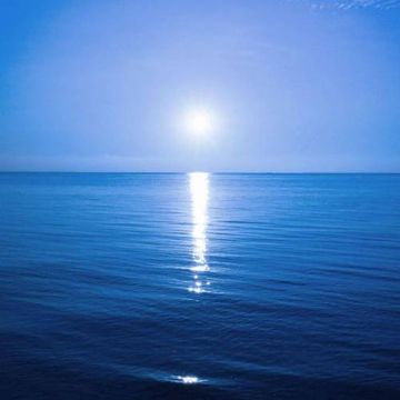纯-cover