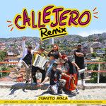 Callejero(Remix)-cover