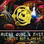 Life Is but a Dream(Original Mix)-cover