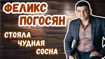 Стояла чудная сосна