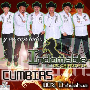Chihuahua-cover