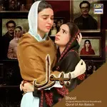 Bhool-cover