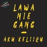 Aku Keliru-cover