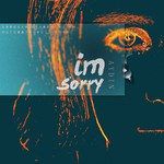 I'm Sorry（對不起）-cover