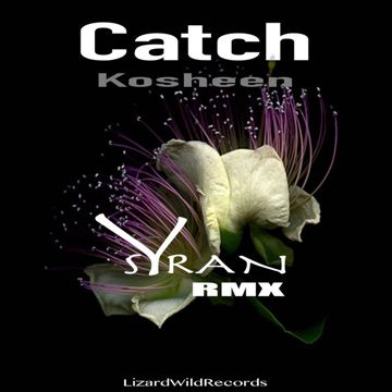 kosheen-catch-cover-image