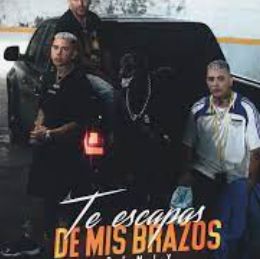 Te Escapas De Mis Brazos (Remix)-cover