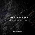 You’re Beautiful(Acoustic)-cover