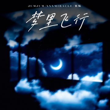 梦里飞行-cover